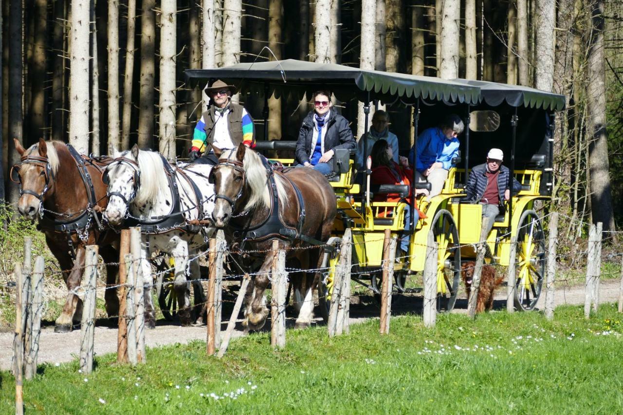 Hotel Alpenhof Bad Wörishofen Extérieur photo